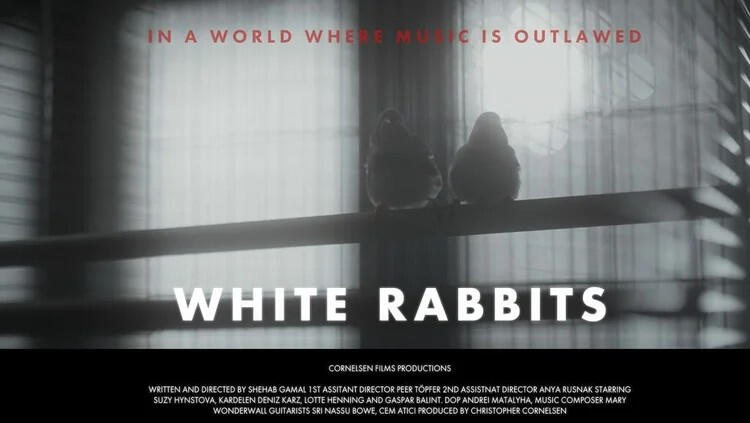 White Rabbits